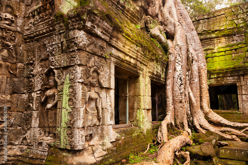 Ta Prohm temple. Ancient Khmer architecture under the giant roots of a Spung tree at Angkor Wat complex, Siem Reap, Cambodia. Ta Prohm temple. Ancient Khmer architecture under the giant roots of a Spung tree at Angkor Wat complex, Siem Reap, Cambodia.
