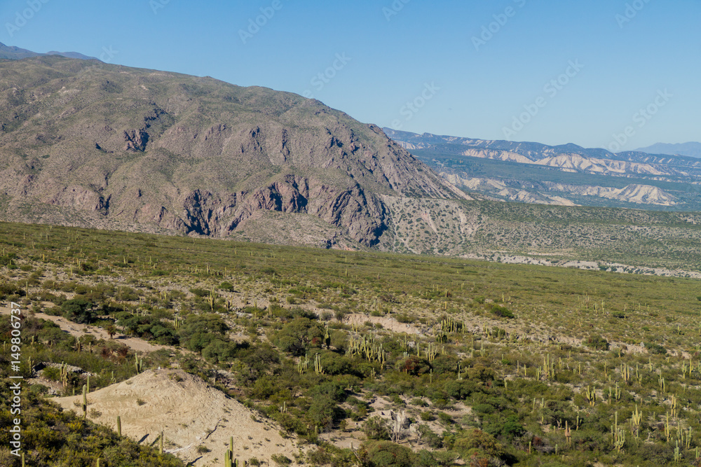 Landscape with cacti near Amaicha del Valle, Argentina