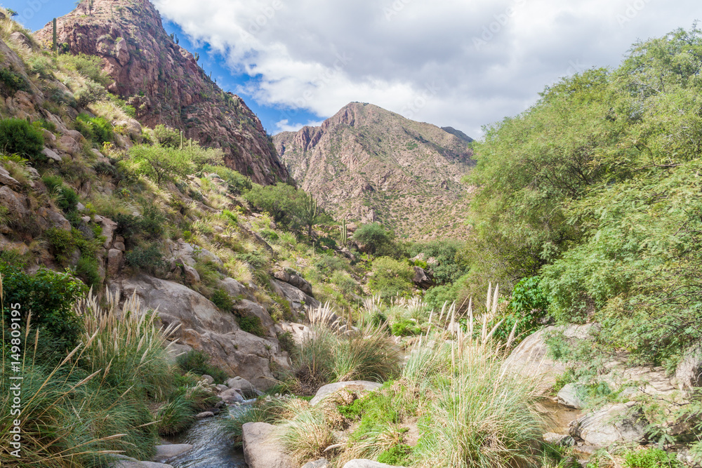Quebrada del Colorado canyon near Cafayate, Argentina