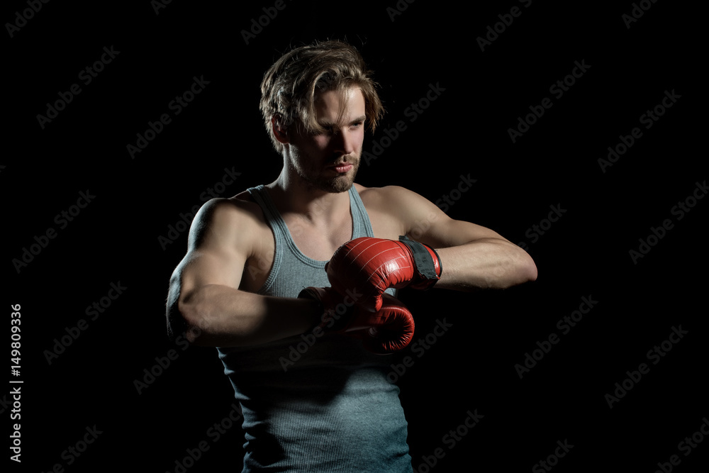 Strong man is dressing red boxing gloves. Muscular man in gray T-shirt is preparing for battle. Boxer in the ring. Attractive guy sportsman with red gloves