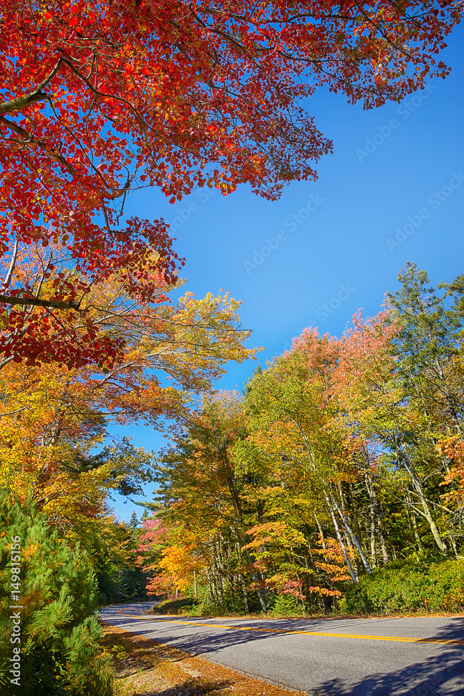Autumn road surrounded by colorful and bright foliage in New England