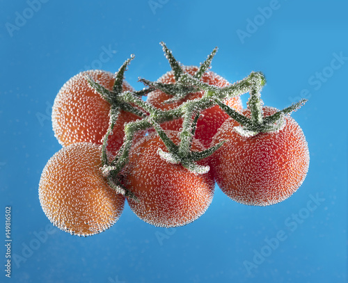 Five tomatoes on a branch are covered with air bubbles on a blue background photo