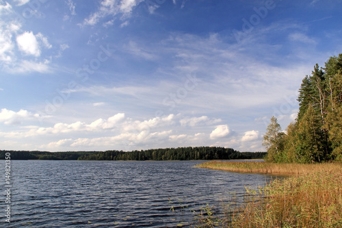 View of the lake in the sunny day