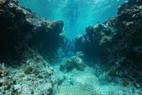 Rocky underwater seascape ocean floor outer reef carved by the waves, Pacific ocean ,Huahine, French Polynesia © dam