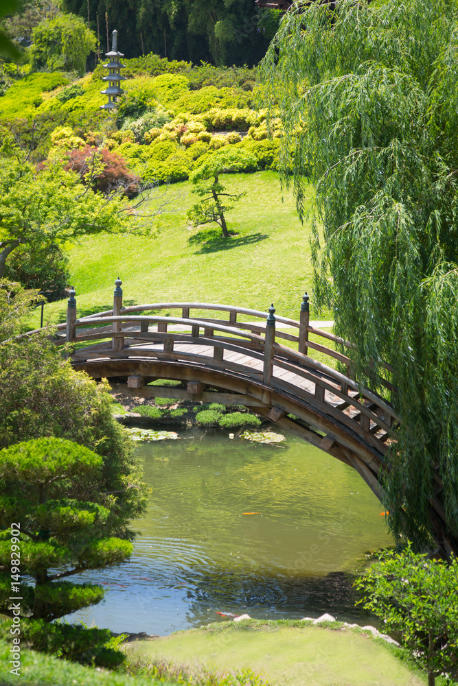 Beautiful Japanese Garden with Pond and Bridge.