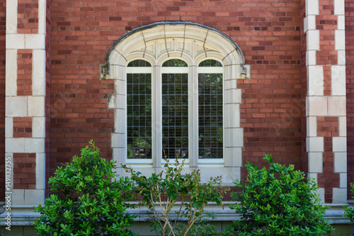 Window with Vegetations