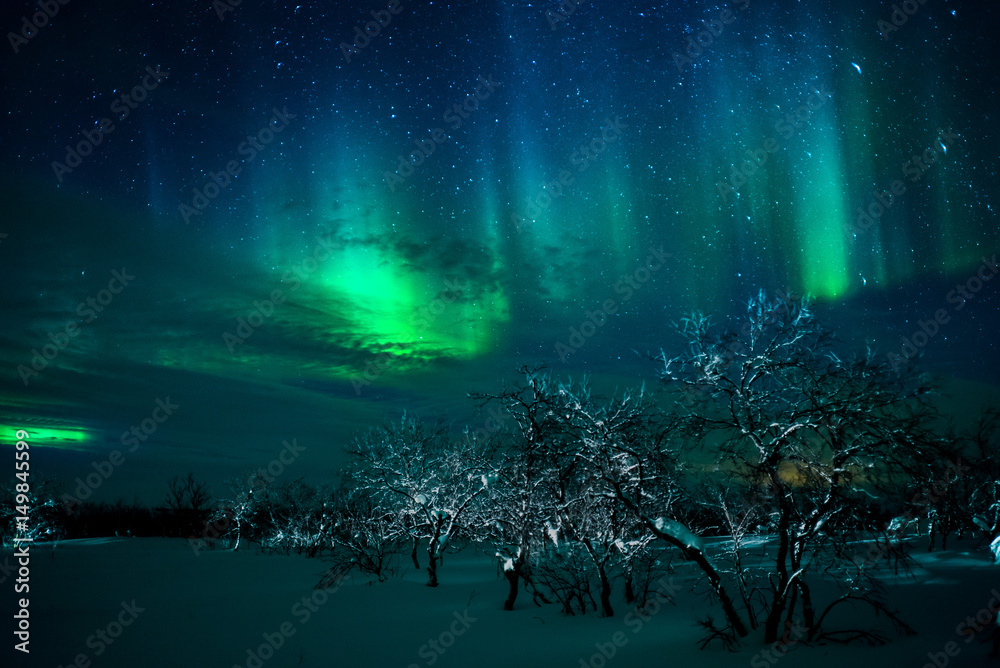 Northern Lights above the Finnmarksvidda, Norway