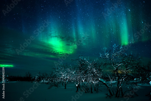 Foto Northern Lights above the Finnmarksvidda, Norway