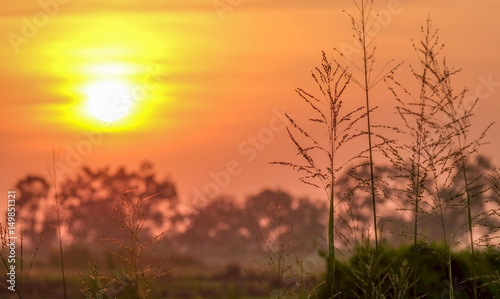 wonderful dramatic scene. fantastic sunrise over the meadow