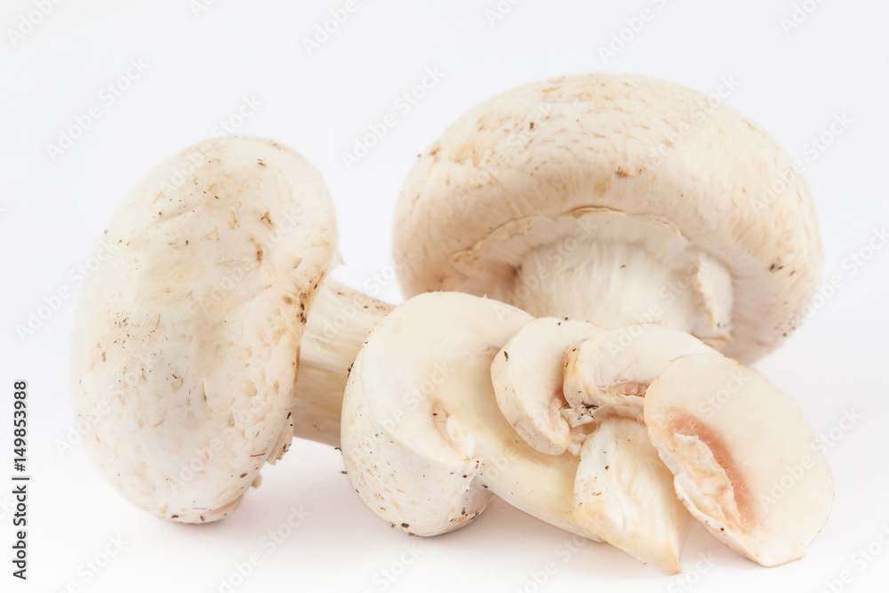 Freshly harvested mushroom (Agaricus bisporus) isolated in white background Freshly harvested mushroom (Agaricus bisporus) isolated in white background