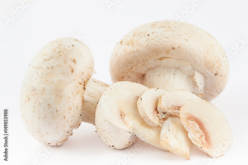 Freshly harvested mushroom (Agaricus bisporus) isolated in white background