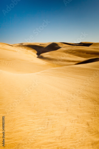 Sand dunes of pismo beach  California