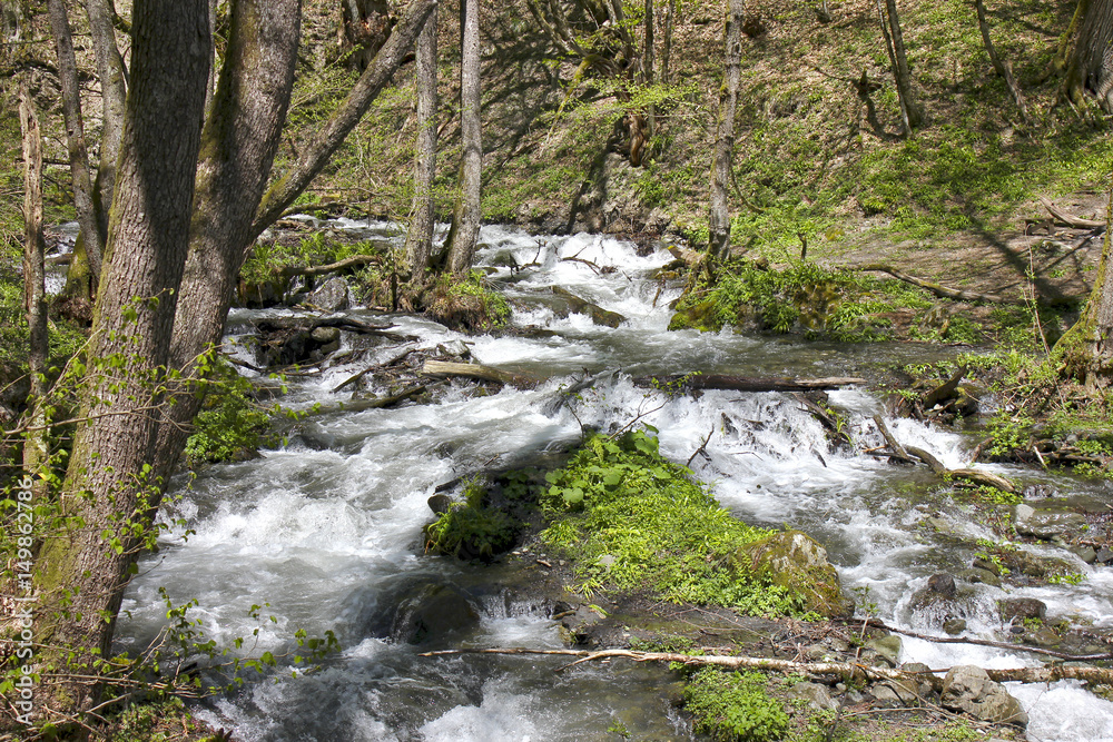 Stormy mountain stream with green island in middle among trees and grass in spring. Stormy mountain stream with green island in middle among trees and grass in spring.