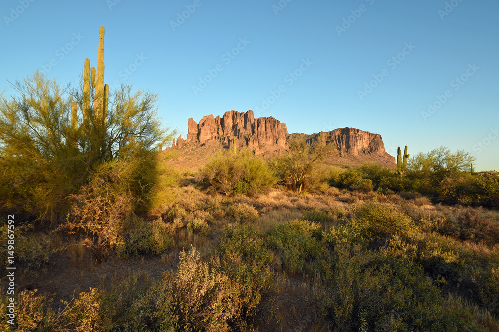 Fototapeta premium Blick auf die Superstition Mountains vom Lost Dutchman State Park bei Phoenix, Arizona, USA