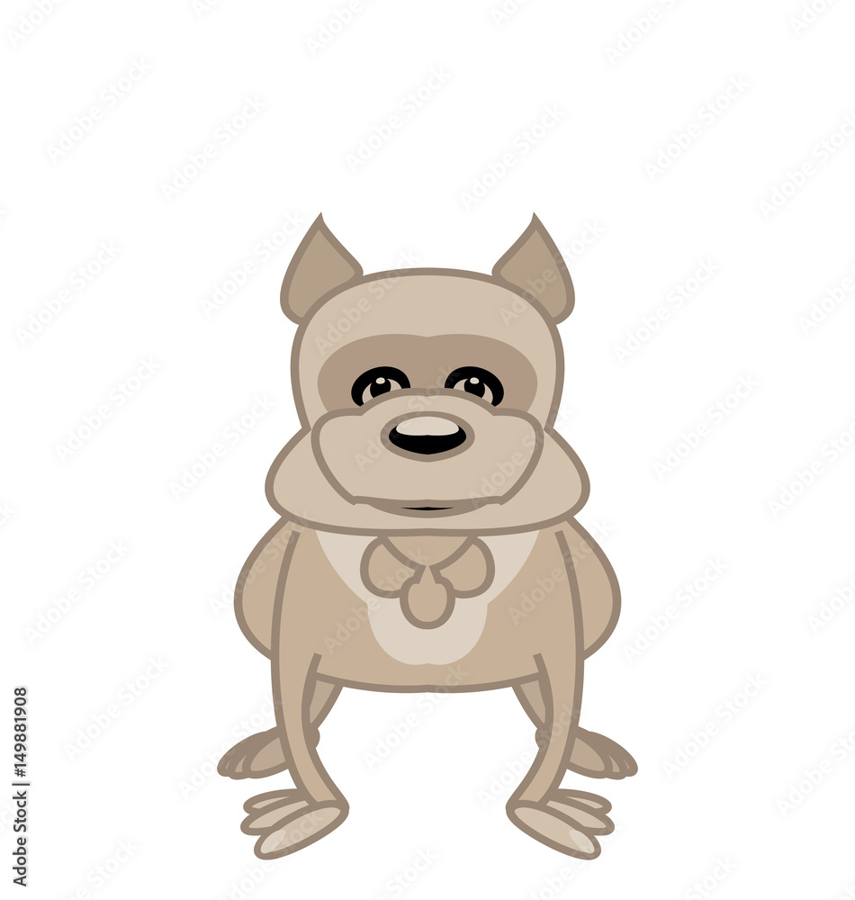 Bulldog standing in front of white background Bulldog standing in front of white background
