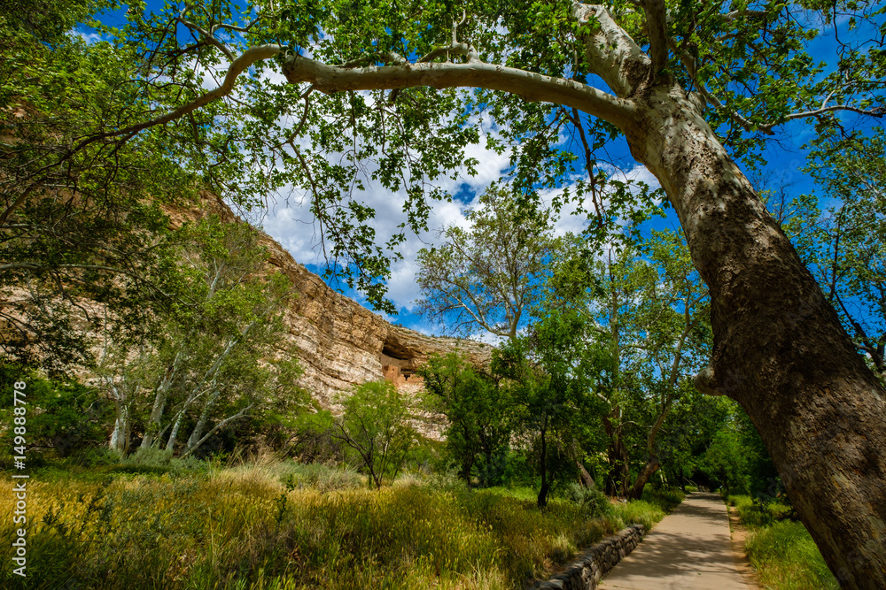 Montezuma Castle dwelling