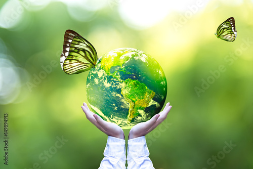 Green world and  butterfly in man hand, green background, Earth image provide...