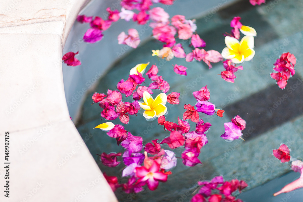Flat lay of different colorful flowers on surface of clean water in pool. Multicolor background Flat lay of different colorful flowers on surface of clean water in pool. Multicolor background