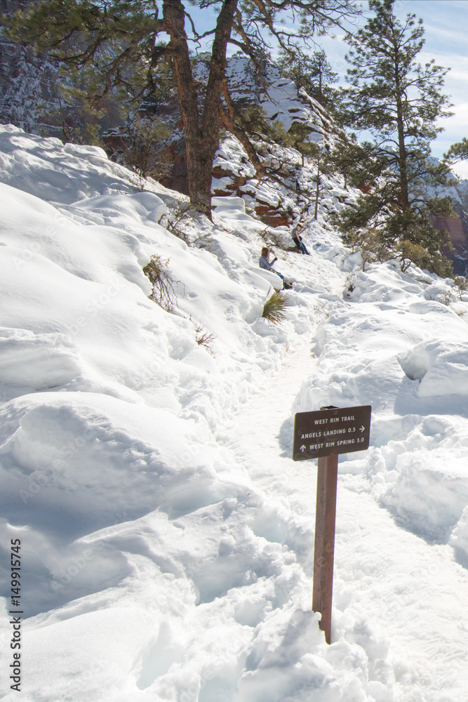 Naklejka premium Trail through snow on Scouts Lookout on Angels Landing Hiking Trail in Zion National Park in Utah USA