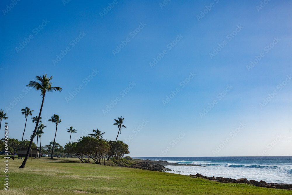 Hawaiian typical public beach with cutted grass field and palm trees. Blue ocean waves incoming onto a rocky shore. Daylight with blue sky Hawaiian typical public beach with cutted grass field and palm trees. Blue ocean waves incoming onto a rocky shore. Daylight with blue sky