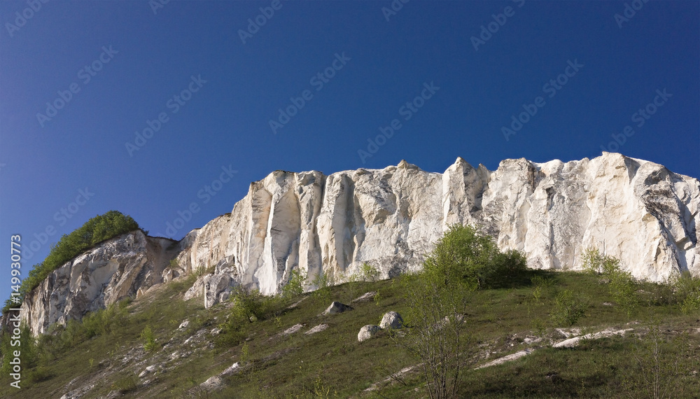 The output of chalky breeds overgrown with bush, on the background the blue sky. Central Russia The output of chalky breeds overgrown with bush, on the background the blue sky. Central Russia
