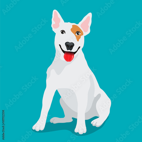 Cute dog Bullterrier breed