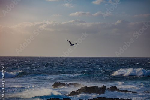 Storming roug ocean water at sunset time