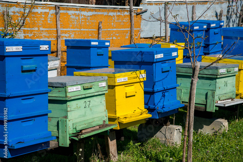 hives in the apiary © diyanadimitrova