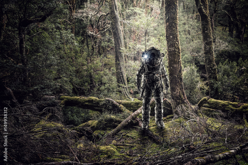 Obraz premium Astronaut in forest