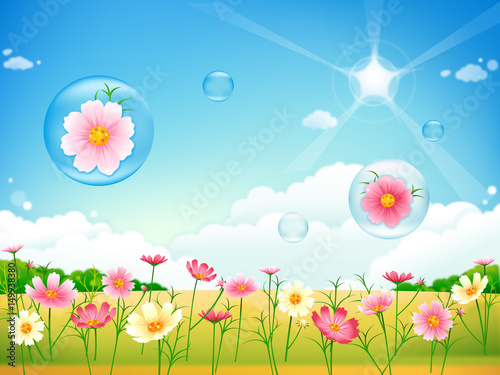 Floral summer or spring landscape  meadow with flowers  blue sky and butterflies