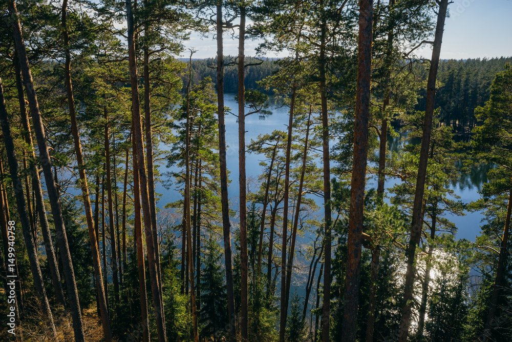 Wonderful Paukjarv lake view through tree trunks