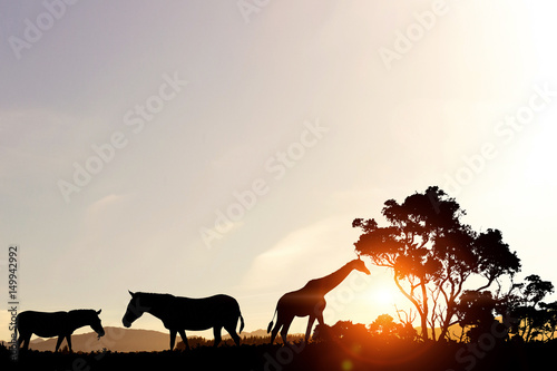 Natural Safari landscape in lights of sunset © Sergey Nivens