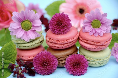 Gru  karte - Macarons mit Bl  ten