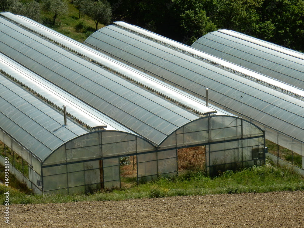 Serre climatizzate