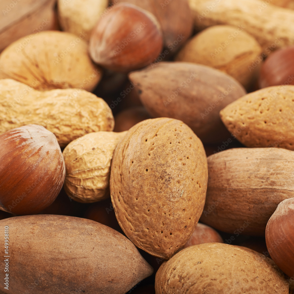 Surface coated with different nuts Surface coated with different nuts