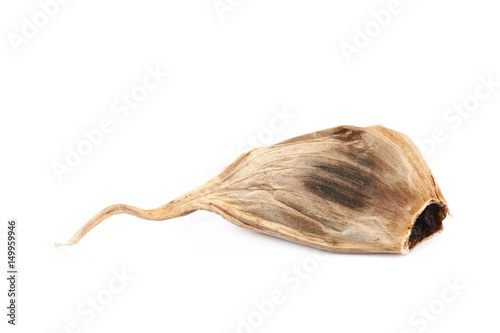 Wallpaper Mural Single garlic clove isolated Torontodigital.ca