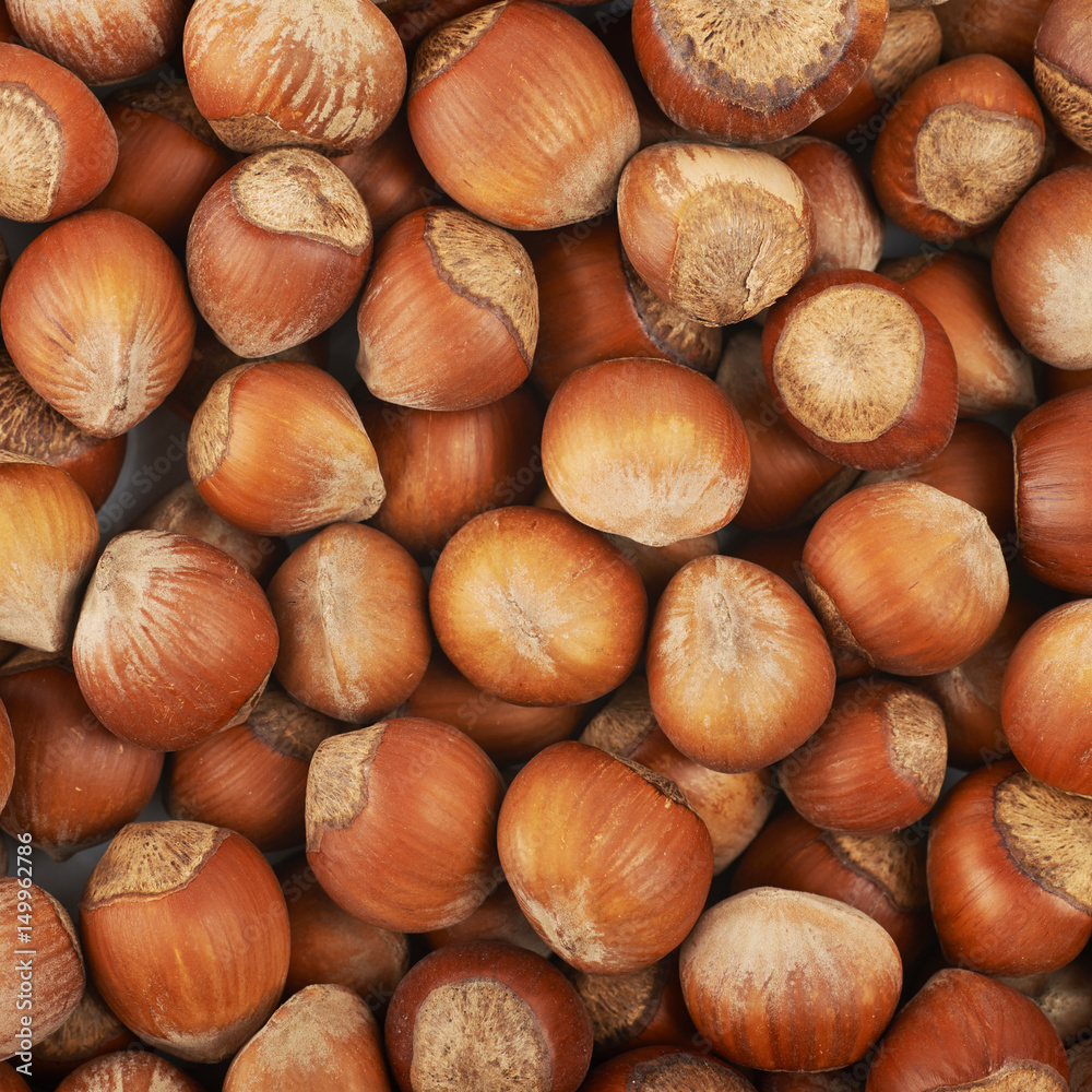 Surface coated with hazelnuts Surface coated with hazelnuts