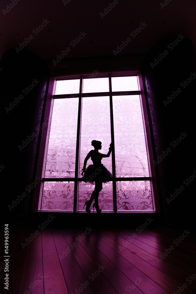 Silhouette of beautiful dancer girl on high hilts in front of window.