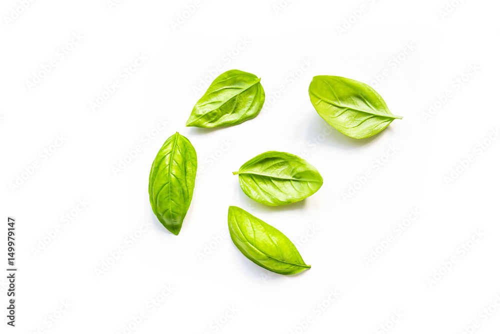 Fototapeta premium Fresh leaves of organic basil seen from above isolated on a white background