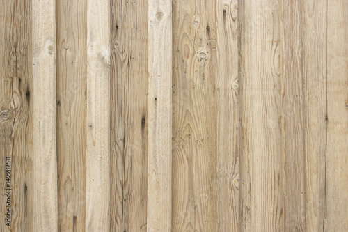 ivory wood texture. Background light old wooden panels © luuuusa