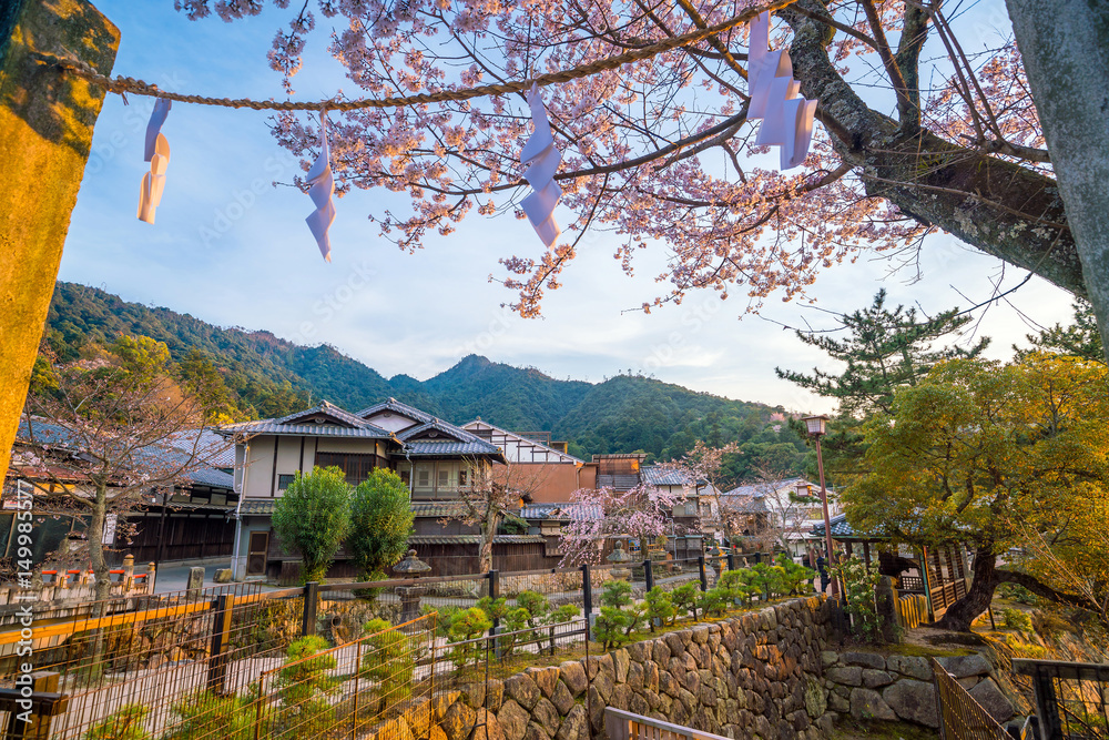 Old village withe sakura in Miyajima