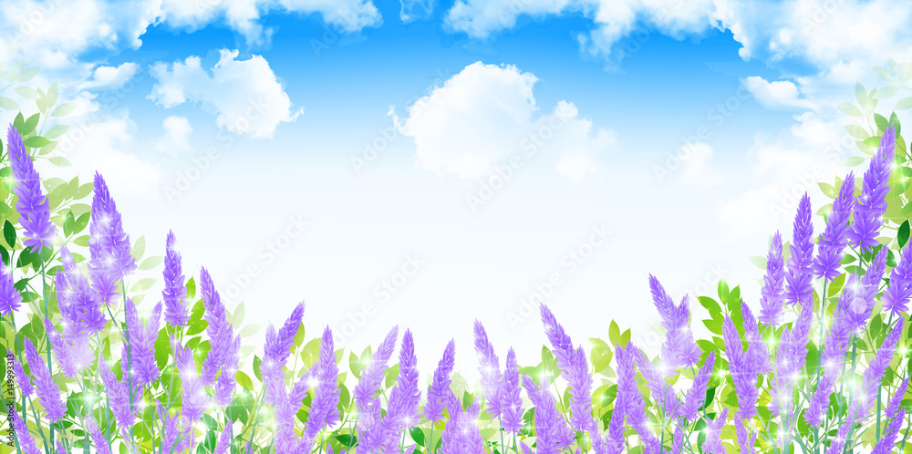 Naklejka premium ラベンダー ハーブ 風景 背景