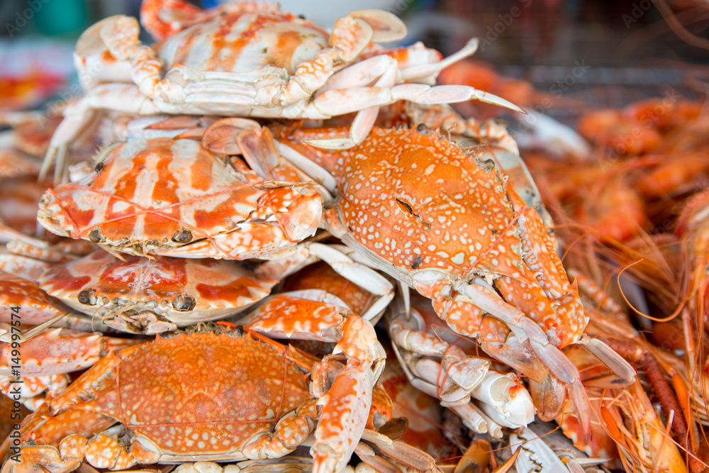 Close-up detail of piles of steamed blue crabs and shrimps on display at a local market. Pattaya, Chonburi, Thailand. Travel and cuisine concept. Close-up detail of piles of steamed blue crabs and shrimps on display at a local market. Pattaya, Chonburi, Thailand. Travel and cuisine concept.