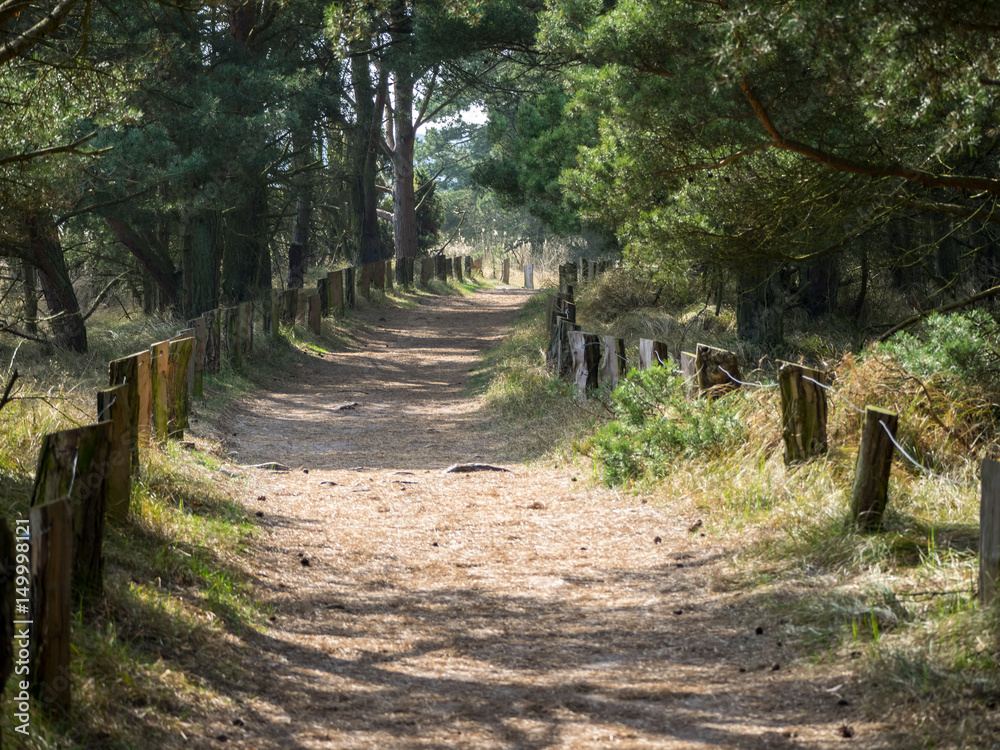 Weg am Waldrand Weg am Waldrand