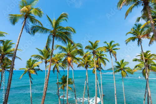 Palm trees on tropical beach over the ocean on a sunny summer vacation day at exotic tropical island with idyllic weather