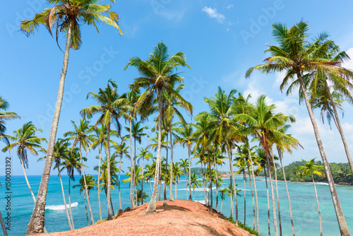 Palm trees on tropical island coast with nice weather blue sky and clean calm water