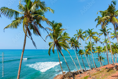 Fototapeta Naklejka Na Ścianę i Meble -  Palms on tropical island coast