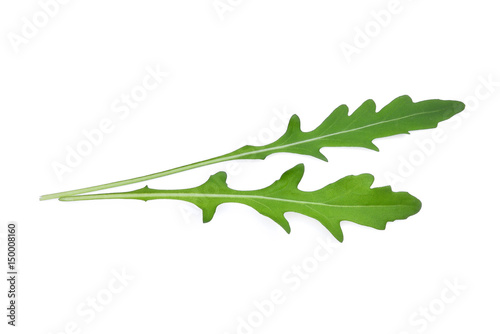 wild rocket leaves(Arugula) isolated on white backbground photo