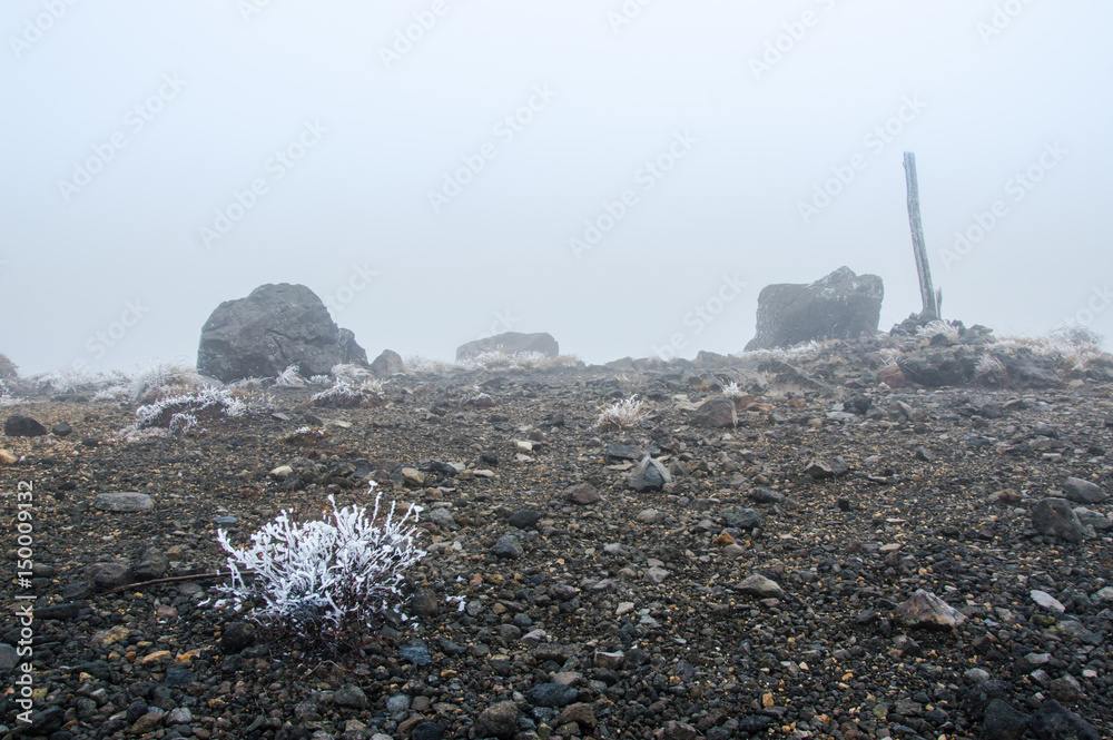 Rocks and stones on a very foggy day in Autumn - Stock image