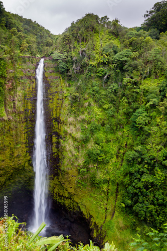 Fototapeta Naklejka Na Ścianę i Meble -  Die Akaka Falls im Akaka Falls State Park auf Big Island, Hawaii, USA.